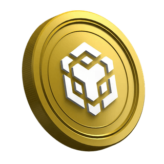 Criptovaluta BNB sulla pagina della guida destinata al trader principiante